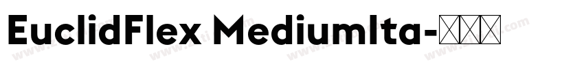 EuclidFlex MediumIta字体转换